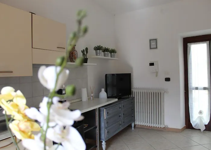 Tommy's House Bellevue Quarto